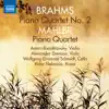 Anton Barakhovsky, Alexander Zemtsov, Wolfgang Emanuel Schmidt & Eldar Nebolsin - Brahms & Mahler: Piano Quartets
